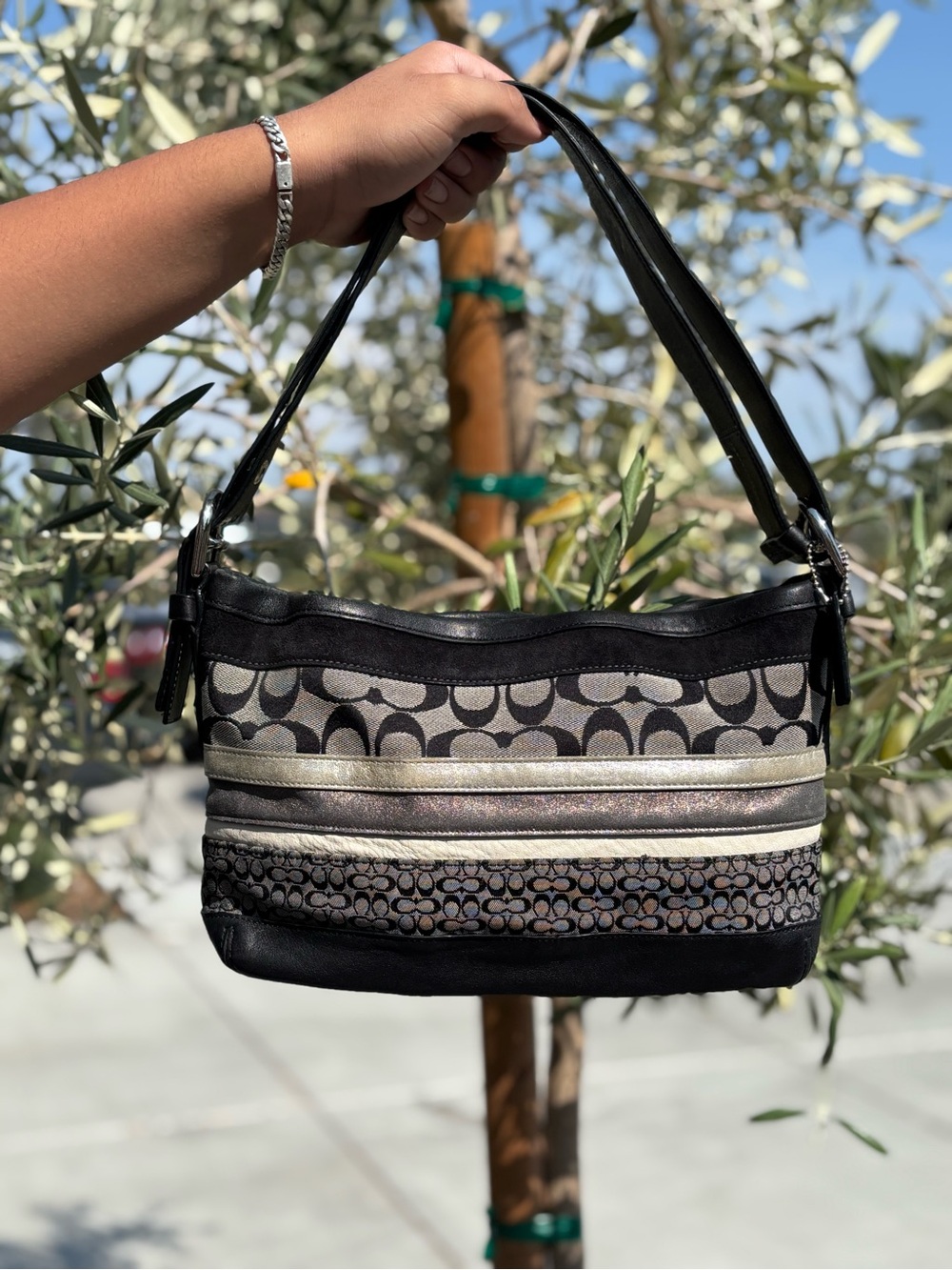 Black Coach Shoulder Bag